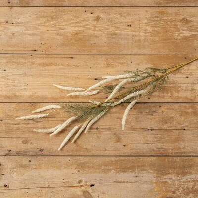49.25&quot; CREAM &amp; GREEN FOXTAIL