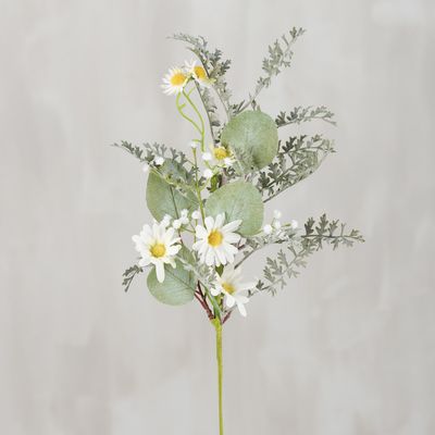 Sunshine Cosmos Bouquet