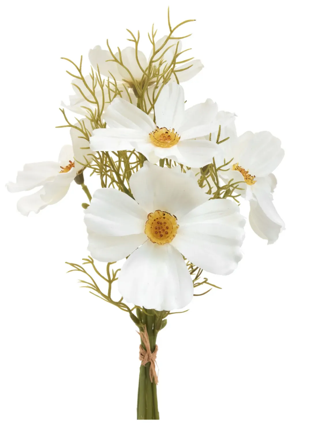 BUSH COSMOS POLY WHITE 6X14