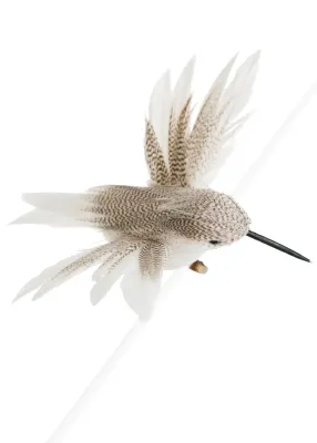HUMMINGBIRD W/CLIP FOAM/FEATHER GRAY/WHITE 2