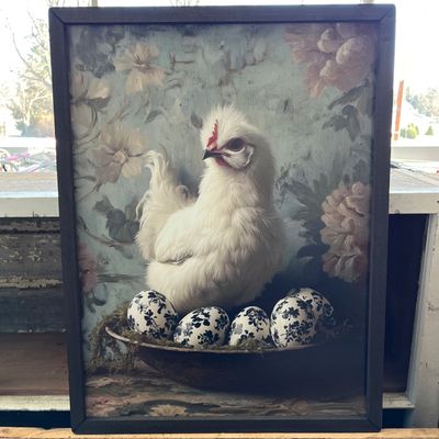 Silkies (Chicken) Eggs 18x24&#39;