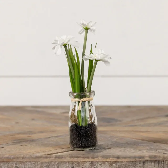 8.25&quot; POTTED WHITE DAISY