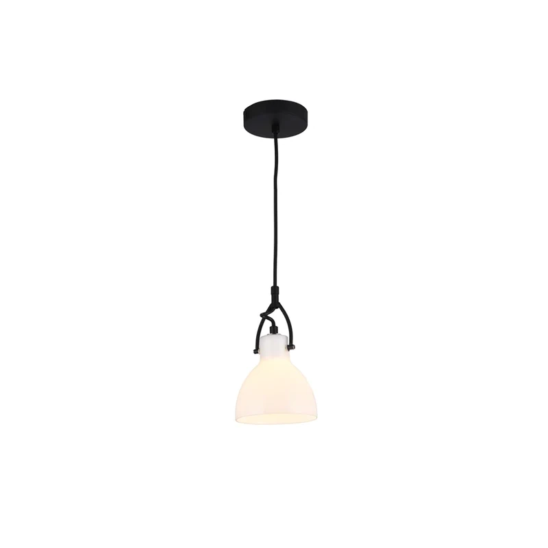 Modern 1-Light Pendant Black