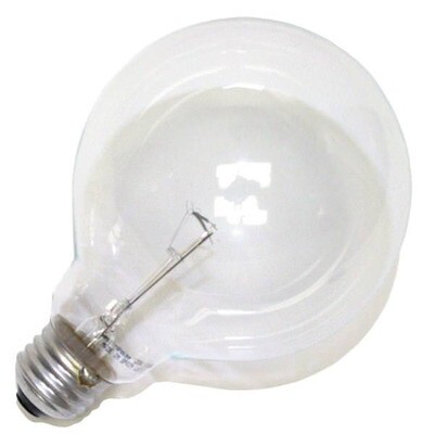 100W G-30 Clear Globe Bulb