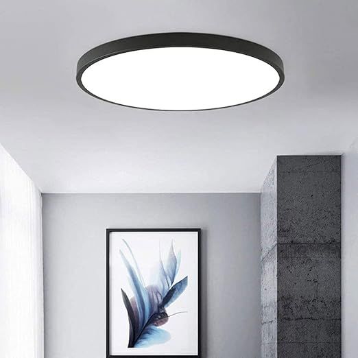 Slim Panel Ultra Modern Flush Mount Large Round 40W LED 3CCT Black