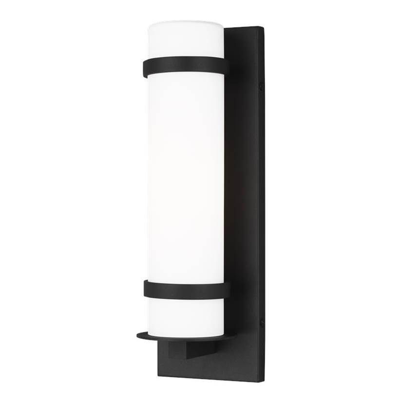 Alban 1-Light Outdoor Wall Sconce Black