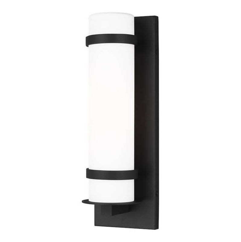 Alban 1-Light Outdoor Wall Sconce Black