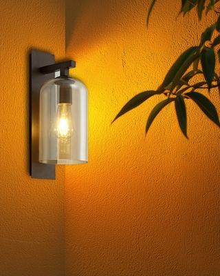 Outdoor 1-Light Wall Light in Coffee