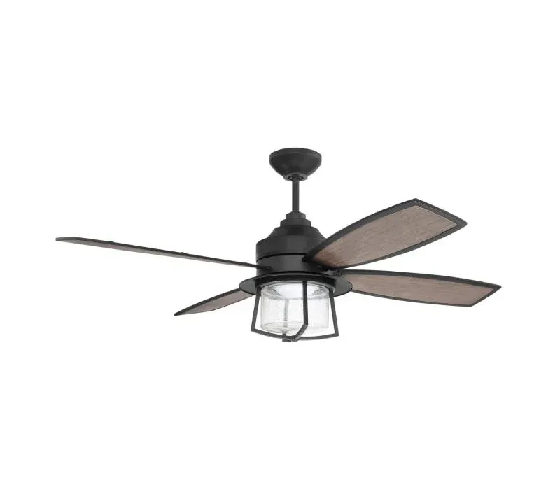 Waterfront 52 in. Integrated LED Indoor/Outdoor Dual Mount Flat Black Ceiling Fan Light Remote and Wall Control