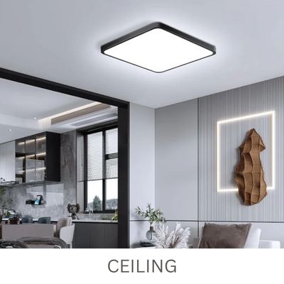 Ceiling