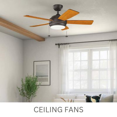 Fans