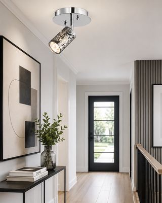Monopoint 1-Light Track Light Chrome