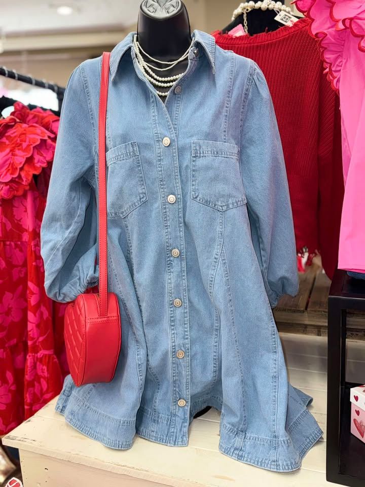 Denim/Cream Button Up Long Sleeve Dress