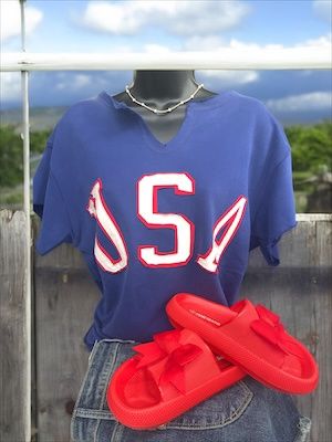 USA V-Neck Navy Shirt