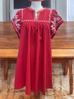 Solid V- Next Dress w/embroidery detail