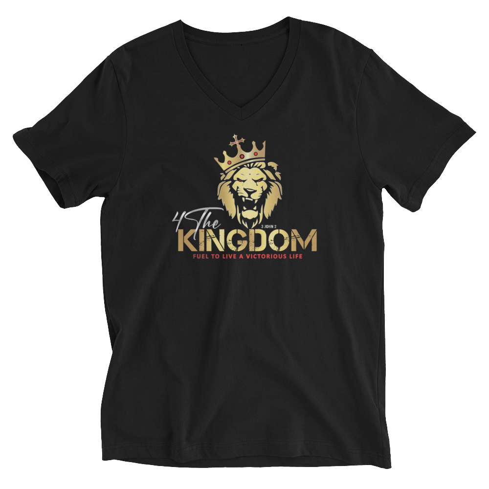 Unisex V-Neck Tee
