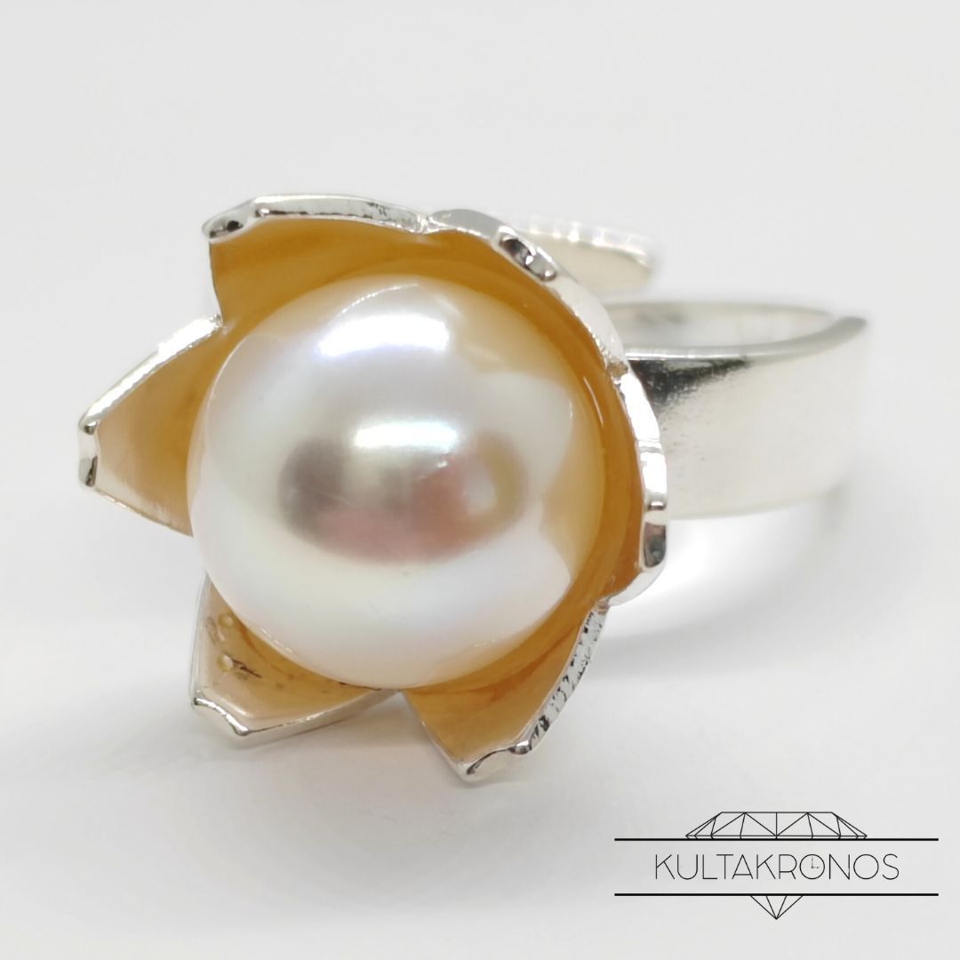 Helmisormus Helmisormus