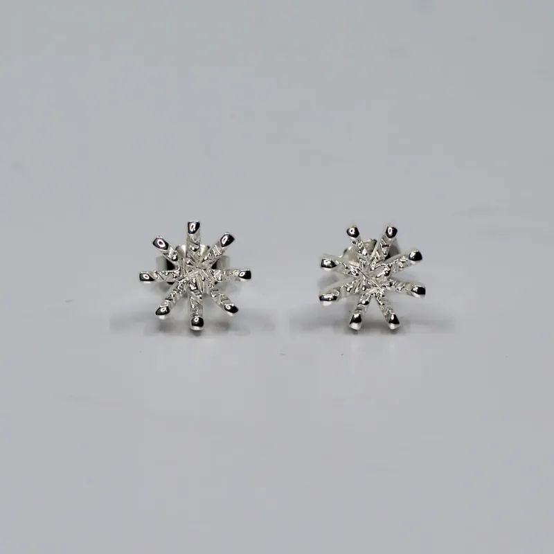 Sassi Design, Talvi korvakorut