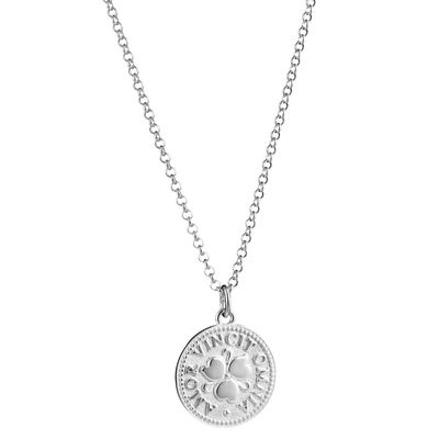 Lumoava Penny riipus, hopea