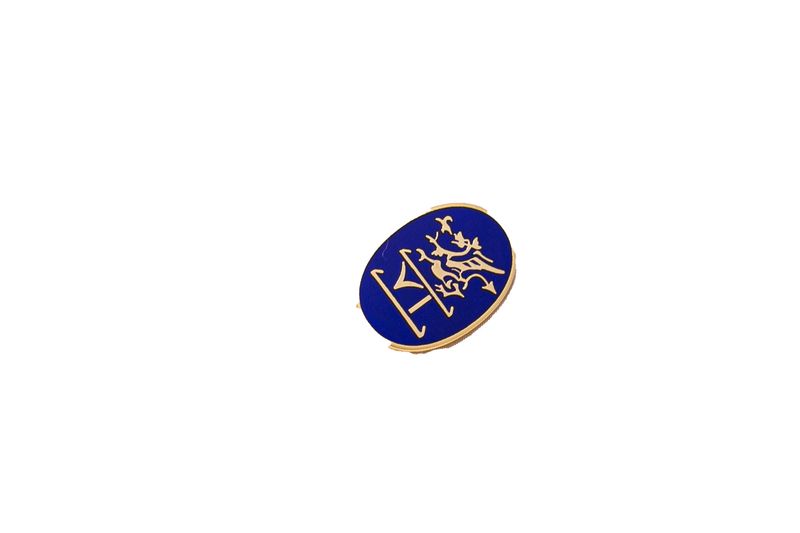 College Sixth Form  Lapel Pins