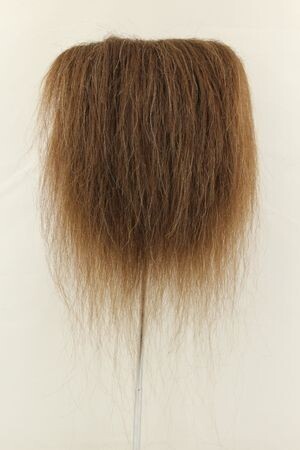 CF1755 (5-7") Brown Bear