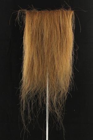 CF1728 (5-7") Full Brown Beast