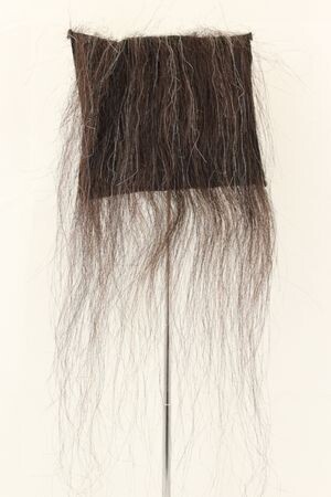 CF1751 (5-7") Sparse Gorilla