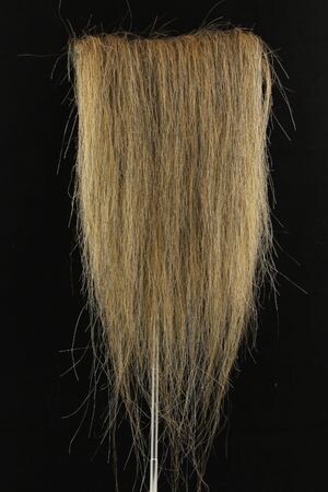 CF1007-77 (5-7") Full Lion