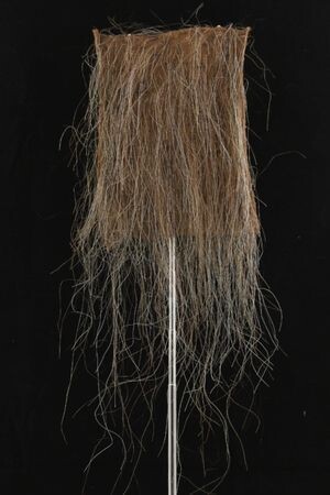 CF1737 (5-7") Sparse Hairy Horror