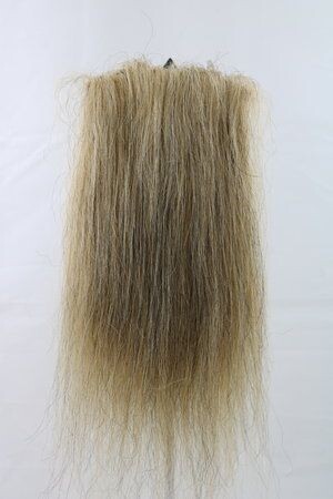 CF1007 (5-7") Golden Taxidermy Lion's Mane