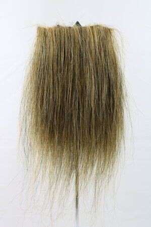 CF1745 (5-7") Ochre/ Black Taxidermy Lion's Mane