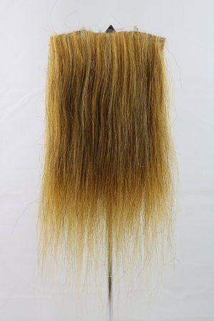 CF1744 (5-7") Ochre Taxidermy Lion's Mane