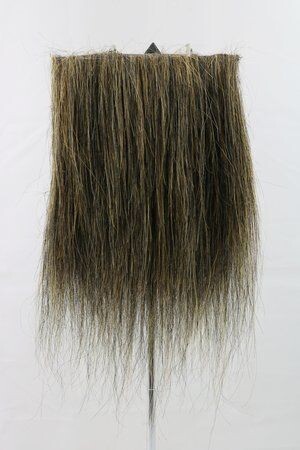 CF1746 (5-7") Black Taxidermy Lion's Mane