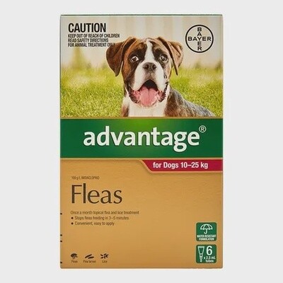 Advantage Flea Spot on treatment Dogs 10-25kg