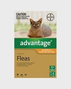 Advantage Spot on Flea Treatments  Kittens &amp; Small Cats up to 4kg