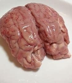 Raw Lamb Brains - 5 pack