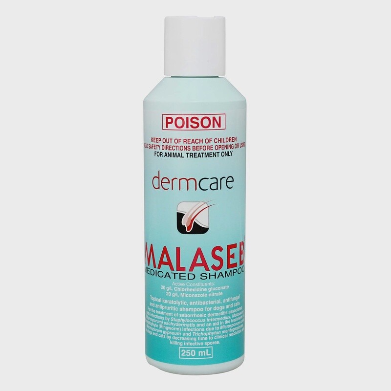 Malaseb Medicated Foam  Shampoo