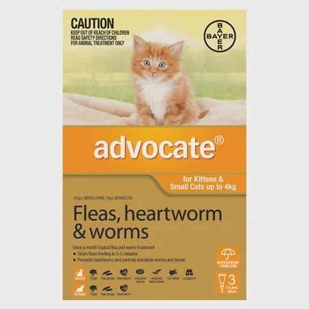 Fleas, heartworm &amp; worm spot on  Kittens &amp; Small Cats up to 4kg