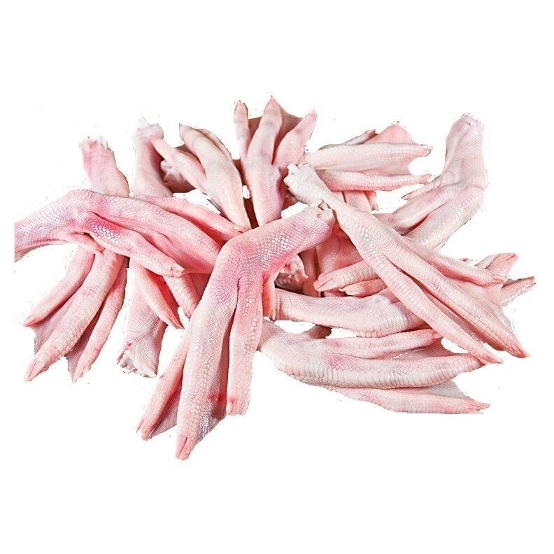 Raw Duck Feet
