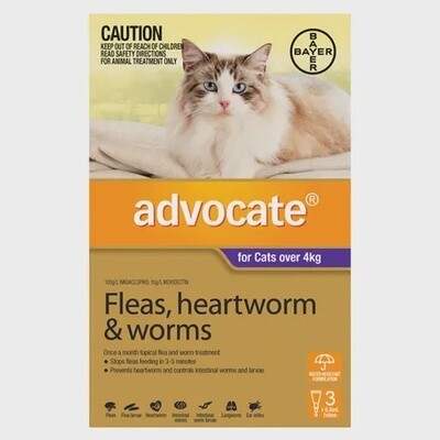 Fleas, heartworm &amp; worm spot on Cats over 4kg