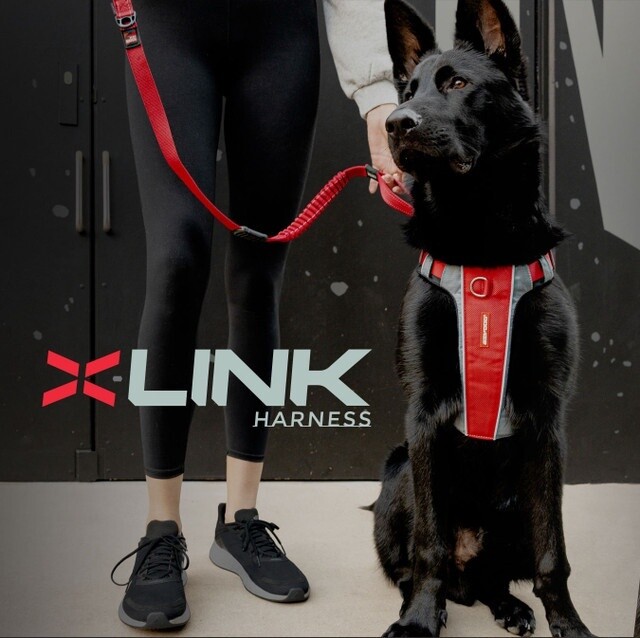 Ezy Dog X-Link Harness