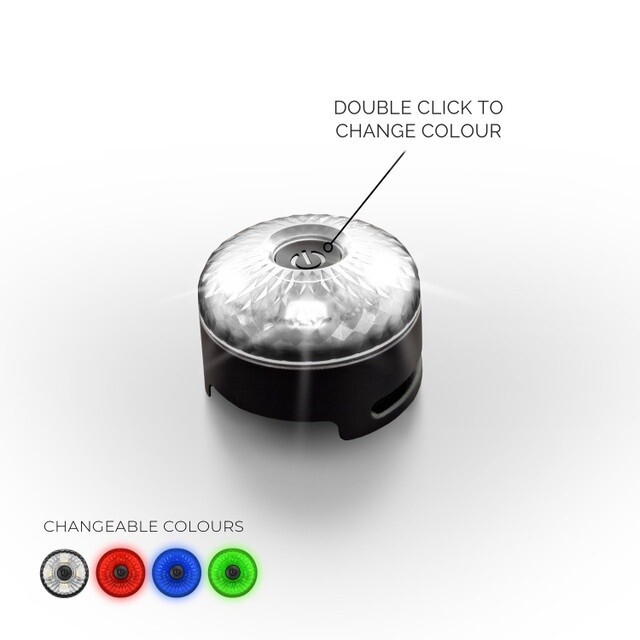Ezy Dog Go -2 Dog Light