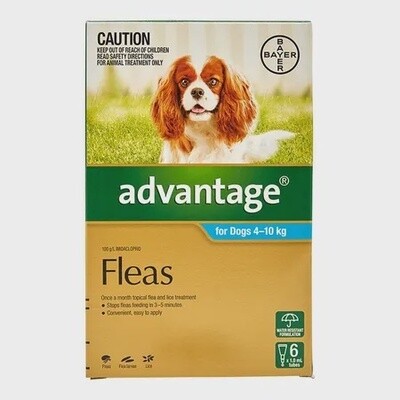 Advantage Flea Spot on treatment dogs 4-10kg