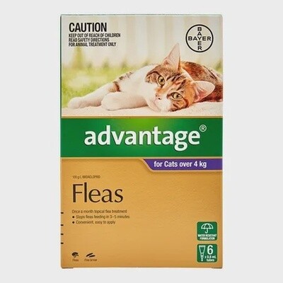 Advantage Flea Spot on treatment Cats over 4kg