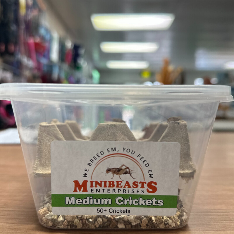 Tubs of Crickets
