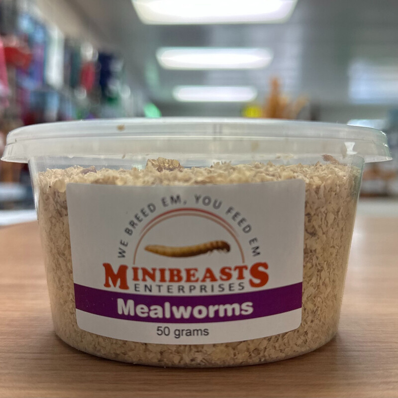 Mealworms