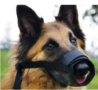 Beau Pets Adjustable Nylon Muzzle