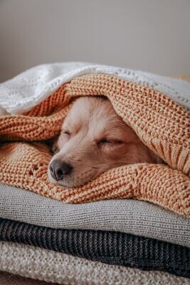 BEDDING