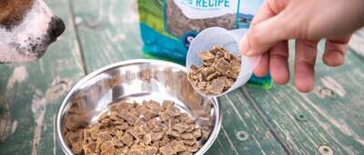AIRDRIED/FREEZE DRIED FOODS