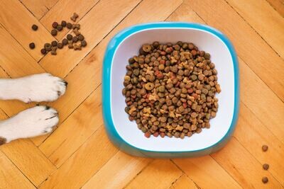 DRY FOOD